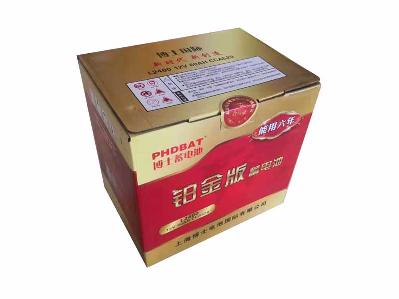 上海铂金版蓄电池