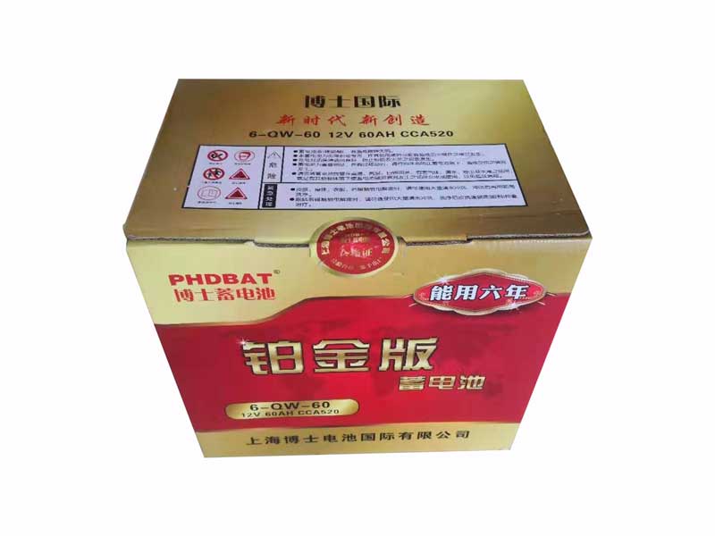 上海铂金版蓄电池